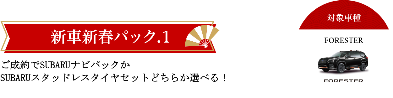 新車新春パック1