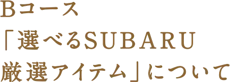 Bコース 「選べるSUBARU厳選アイテム」について